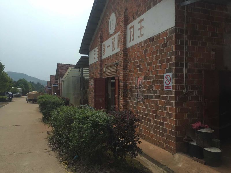 La Chine Liuyang Mandarin Fireworks Co., Ltd. Profil de la société