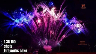 Liuyang 100 Shot Professional Display Fireworks Cake 1.3G UN0335 pyrotechnie
