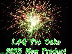 200 coups de feu de 1000g de gâteau 1.4 Pro gâteau pyrotechnique pour le marché américain 2025