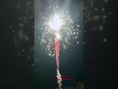 Des feux d'artifice en ligne en direct chinois en gros des feux d'artifice de gâteaux de consommation 2024 pour la célébration