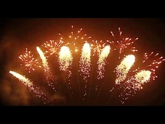 Pyrotechnie de feux d'artifice de mandarine 65 feux d'artifice en forme d'hélice de tirs