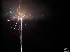 Mandarin 1.3g 150 300 500 600 1000 coups de feu de gâteau