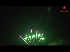 Display de feux d'artifice professionnel en Chine 10 coups en forme de ventilateur rangée unique