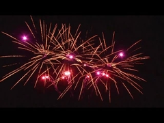 20 coups de feu en plein air gâteau de fête pyrotechnie Ventilateur personnalisé 1,4g