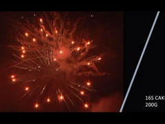 Mandarin 2021 Nouveau 16 coups 200g gâteau Feux d'artifice Pour la fête