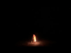 feux d'artifice mauvais Toy Fireworks For Party extérieur de fontaine d'abeille de 1.4g Un0336