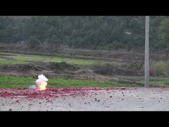 Des feux d'artifice pour la fête du mariage 100 10000 20000 30000 sons feux d'artifice pour le festival