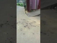 Boules magiques Jouet feux d'artifice 0.03CBM Protection de l'environnement Pour les réunions de célébration