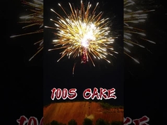 Fabrique en gros 100 coups gâteau feux d'artifice Pyrotechnique avec grand effet Liuyang 1.4G gâteau feux d'artifice