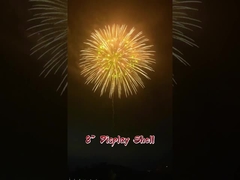 Festivals et célébrations 2 