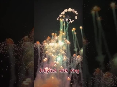 Chinois Mandarin en gros feux d'artifice de jouets en rotation en forme de méduse volante Feux d'artifice avec anneau