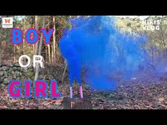 Usine chinoise de jour Mariage Portable Couleur Fumée Fusée Feux d'artifice Fête Révélation de genre Bombes fumigènes