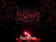 Feux d'artifice Liuyang 56 coups Salut Gâteaux Extérieur Batteries Prune Rouge Pyrotechnie