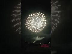 1.3G Feux d'artifice professionnels pour spectacles du Nouvel An 2