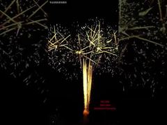 Feu d'artifice de gâteau de festival de 100 coups Événements en plein air Pyrotechnie professionnelle Feux d'artifice 1.3G