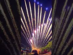 Usine chinoise de feux d'artifice personnalisables 1.3G Feux d'artifice professionnels Gâteau Festival de Noël Mariage