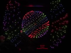 Feu d'artifice professionnel d'usine de Liuyang 1.3G Un0335 Pyrotechnie 2