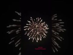 1.3G Projectile de mortier professionnel - Feux d'artifice de Liuyang