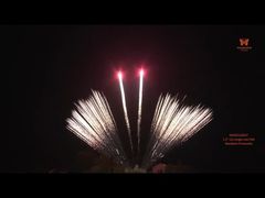 Professionnel 1.3G 1.2' 12 pouces coupes à une rangée de gâteau de ventilateur Feux d'artifice en gros Feux d'artifice pyrotechnique