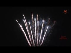 Feux d'artifice pyrotechniques professionnels adaptés aux besoins du client par 1.3g, 0,8 pouces, 49 tirs, affichage en forme de Z, gâteau de feux d'artifice