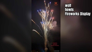Usine chinoise personnalisée 100 tir loup hurlant gâteau feux d'artifice vente en gros pyrotechnie