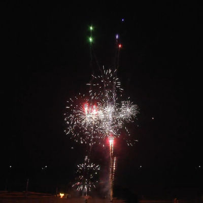 Consumer Cake Fireworks 49 Shots Plastic Tube Fireworks for Merry Christmas and Year Outdoor Parties