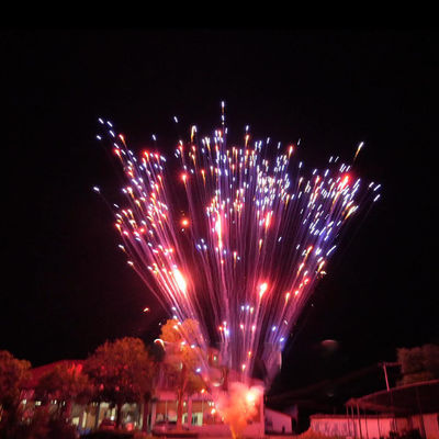 Fireworks Pyrotechnics Chinese Factory 1.2 Inch 24 Shots Cake Fireworks For Celebration 1.4g Un0336 Pyrotechnics