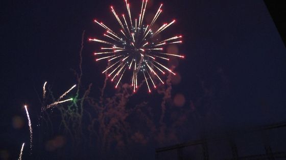 Professional Display Fireworks For Sale 2.5 Inch Display Shells Fireworks 1.3g Un0335 Pyrotechnics Supplies MC1340