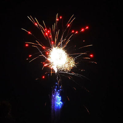 Hunan Liuyang Mandarin Fireworks 300 Shots Paper Tube New Year Celebration 1.4 Pro Fireworks Wholesale US Pyrotechnics