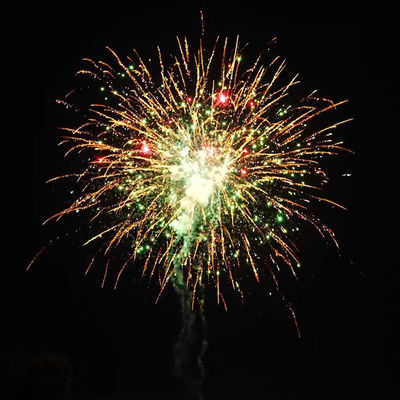 Custom 200 Shots 1000G Cake Fireworks 1.4 Pro Cake Pyrotechnic For US Market 2025 Chinese Wholesale