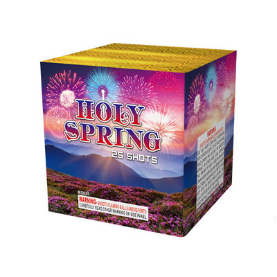Factory New Cake Fireworks Pyrotechnics 25 Shots Cake Fireworks Chinese Djibouti Wholesale Fireworks 2025