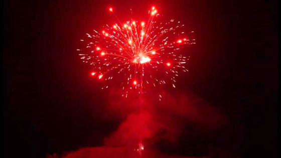 Tirs 500G 24 pyrotechniques extérieurs chinois de feux d'artifice faits sur commande de gâteau de Liuyang