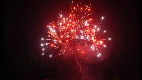 Liuyang 20 tirs 500g a adapté des feux d'artifice aux besoins du client de gâteau pendant la nouvelle année