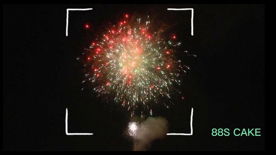 La mandarine a adapté le salut aux besoins du client chinois pyrotechnique de tirs du pétard 88 de feux d'artifice de nouvelle année
