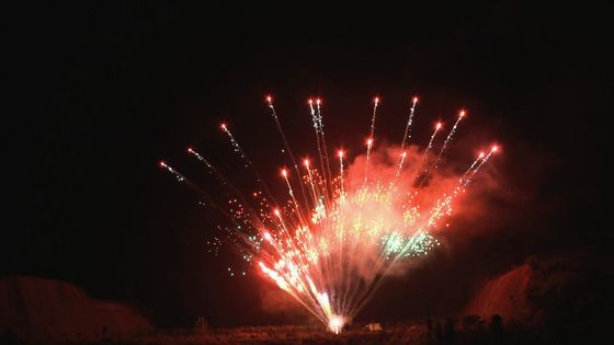 La pyrotechnie chinoise adaptée aux besoins du client montrent le tir professionnel des feux d'artifice 1.3g 100 de gâteau