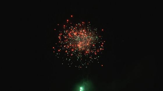 Tirs personnalisables de feux d'artifice professionnels extérieurs de gâteau de festival de Noël 49