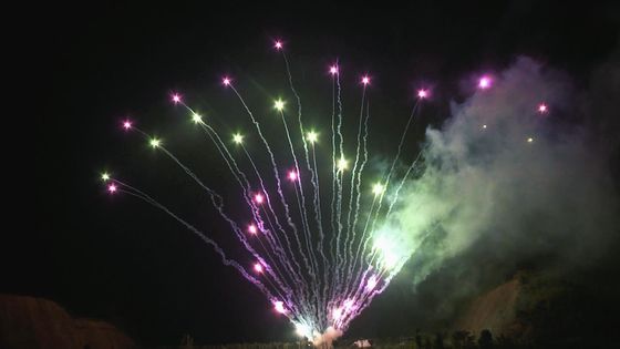 Professionnel extérieur de feux d'artifice de gâteau de festival de Noël de tirs de la mandarine 100