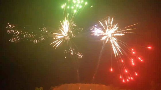 48 coups de feu de gâteau 1.4g UN0336 avec tubes 25*30*200mm et effets personnalisables pour les festivals