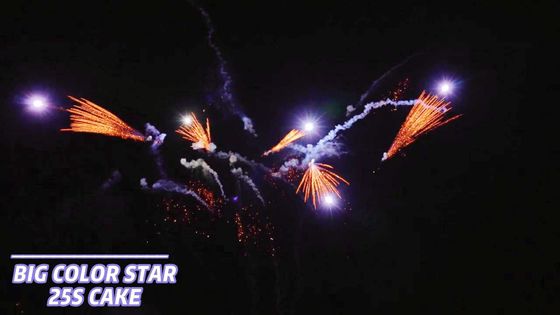 25 tirs que les feux d'artifice de gâteau du consommateur éventent forment la pyrotechnie 1.4g Un0336