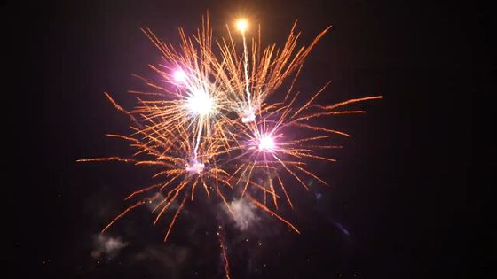 Des feux d'artifice de haute qualité pour l'exportation 21 coups de feu de bon effet Feux d'artifice extérieurs gâteau pour la fête