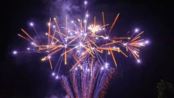 CE 180 feux d'artifice de gâteau du consommateur de tirs de Liuyang pour la célébration de nouvelle année de Noël