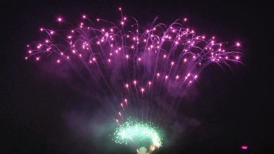 Pyrotechnie de gâteau de mandarine de Liuyang 208 feux d'artifice professionnels 1.3g d'affichage de tirs