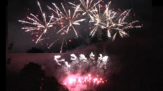 Des feux d'artifice de Liuyang 1.3g Un0335 Pyrotechnique 56 tirs Des feux d'artifice professionnels 1.3g Pour la célébration du festival
