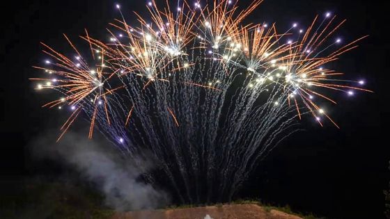 Pyrotechnie de la mandarine 1.3g 13 feux d'artifice simples professionnels de rangée de tirs