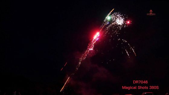 La broche de 380 tirs perle la famille que les assortiments de pyrotechnie emballe le feu d'artifice