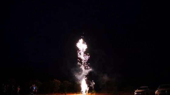 La broche de la pyrotechnie 49s de boîte de paquets de famille d'assortiments de feux d'artifice perle des feux d'artifice
