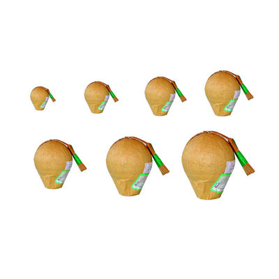 Le professionnel de mandarine de Liuyang affichage de boule de 6 pouces écosse des feux d'artifice pour la célébration de nouvelle année