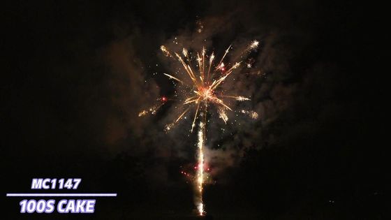 Liuyang spécial effectue la pyrotechnie professionnelle de feux d'artifice de gâteau 100 tirs