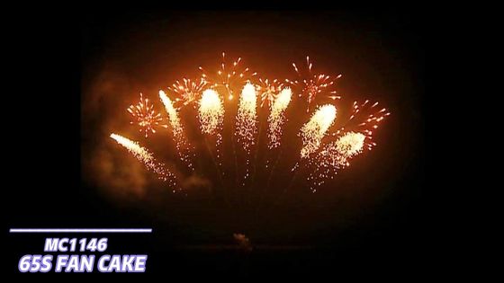 Pyrotechnie de feux d'artifice de mandarine 65 feux d'artifice en forme d'hélice de tirs