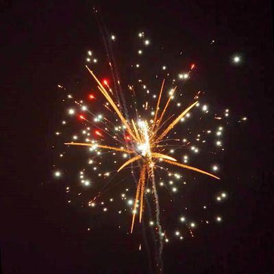 Grand affichage professionnel de feu d'artifice de gâteau de mariage de 70 tirs pendant la nouvelle année